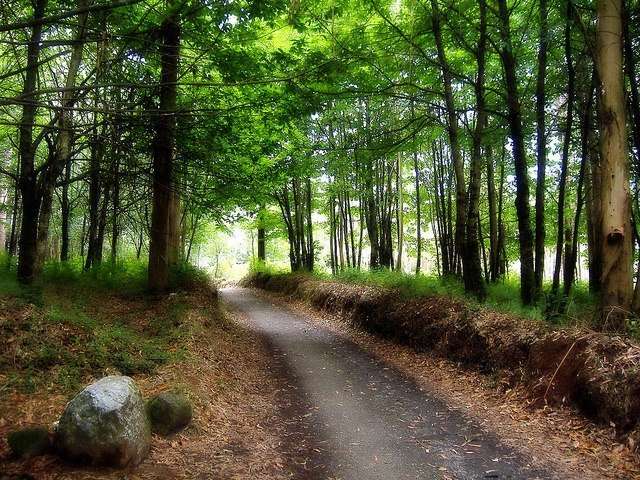 GALICIA