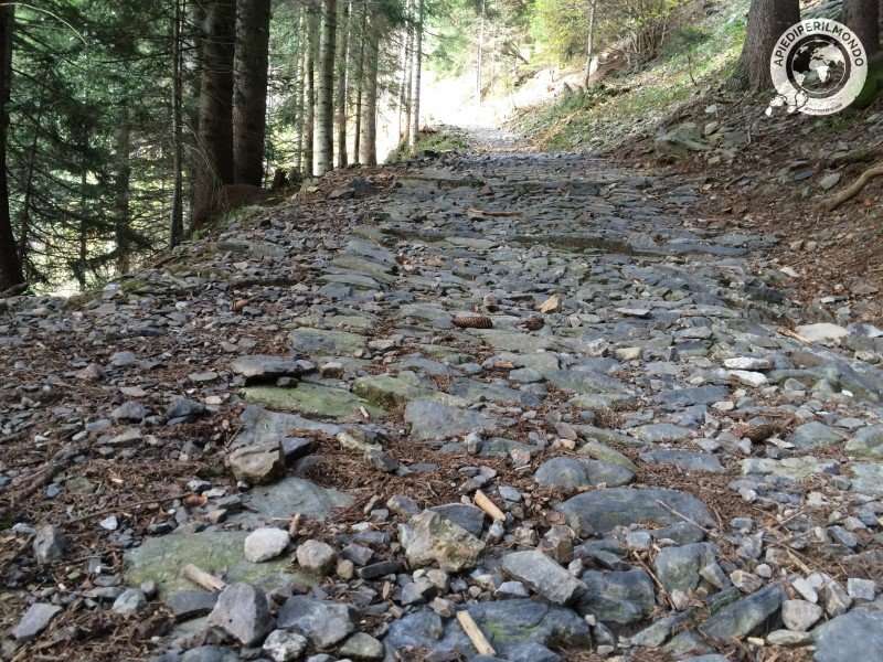 via-priula-strada-apiediperilmondo