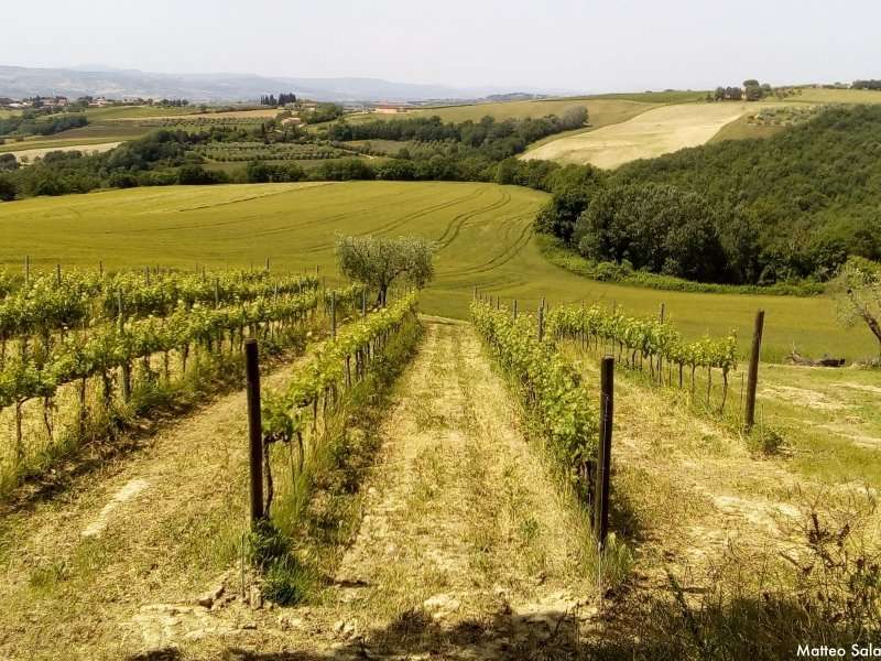 Italia Coast to Coast