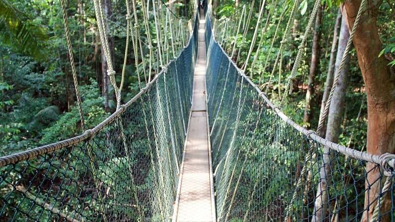 Trekking in Malaysia