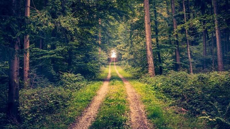 trekking in Germania