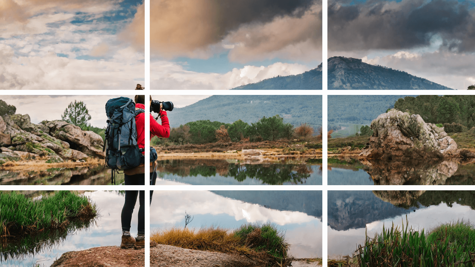 photo parfaite dans la nature
